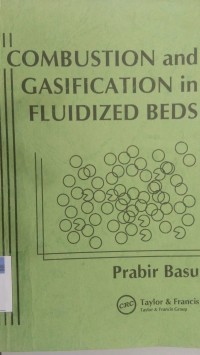 Combustion and gasification in fluidizes beds